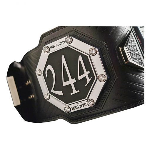 UFC BMF UFC Ultimate Fighting World Heavyweight Championship Belt