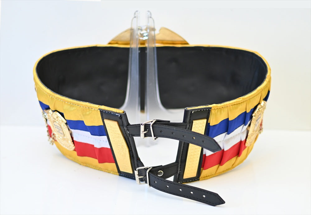 RING MAGAZINE BOXING CHAMPIONSHIP BELT